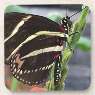 Dessous-de-verre Ailes de papillon jaune et noir