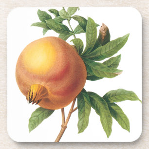 Dessous-de-verre Aliments anciens Fruits, Grenade par Redoute