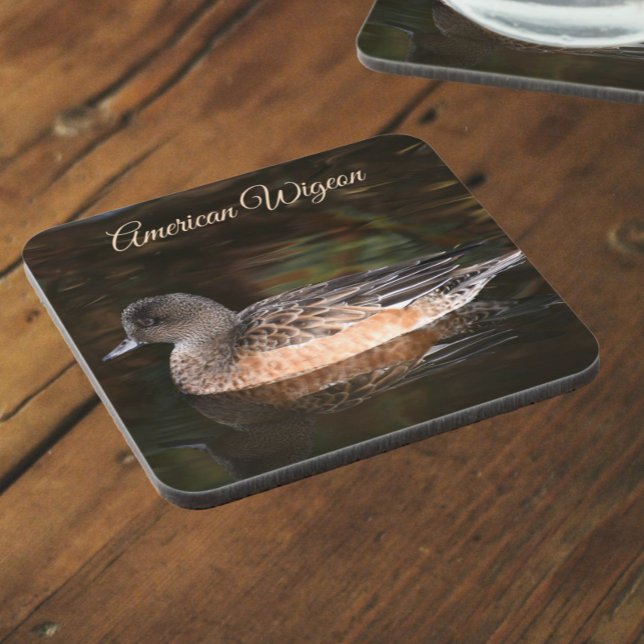 Dessous-de-verre American Wigeon sur Pond Wildlife Photo (In Situ Angled)
