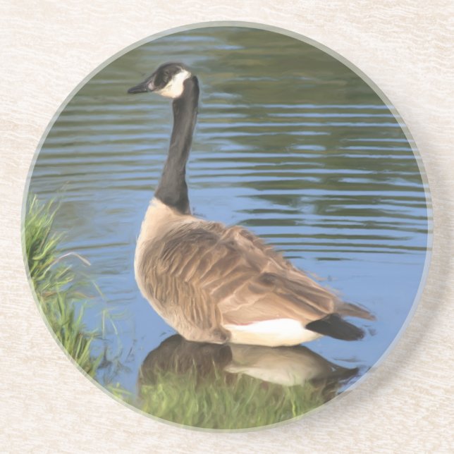 Dessous de verre animal peignant l'oie du Canada (Devant)