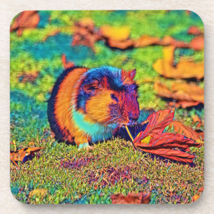 Dessous-de-verre AnimalColor_Guineapig_001