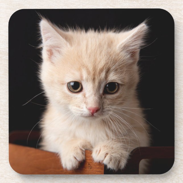 Dessous-de-verre Animaux de bébés cutest | Ginger Kitten (Devant)