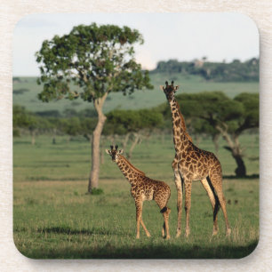 Dessous-de-verre Animaux de bébés cutest   Giraffe Calf & Mama