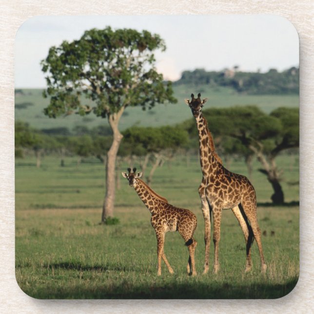Dessous-de-verre Animaux de bébés cutest | Giraffe Calf & Mama (Devant)