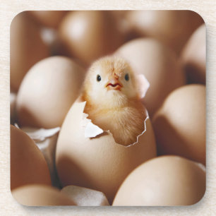 Dessous-de-verre Animaux de bébés cutest   Nouveau bébé poussin