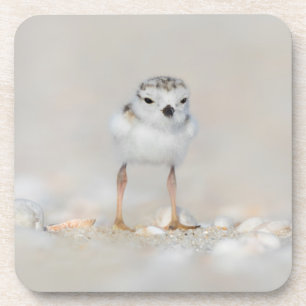 Dessous-de-verre Animaux de bébés cutest   Poussette de tuyauterie