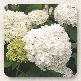Dessous-de-verre Annabelle Hydrangea