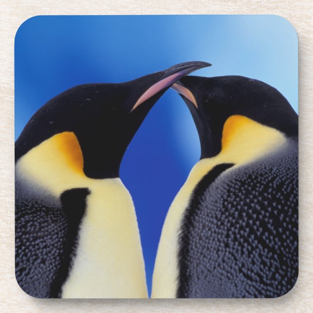Dessous-de-verre Antarctique, Manchots empereurs (Devant)