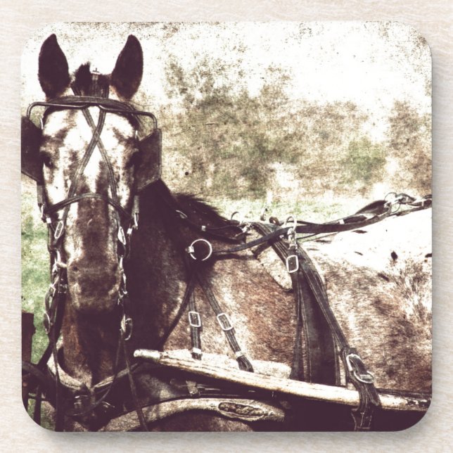 Dessous-de-verre Appaloosa Horse (Devant)