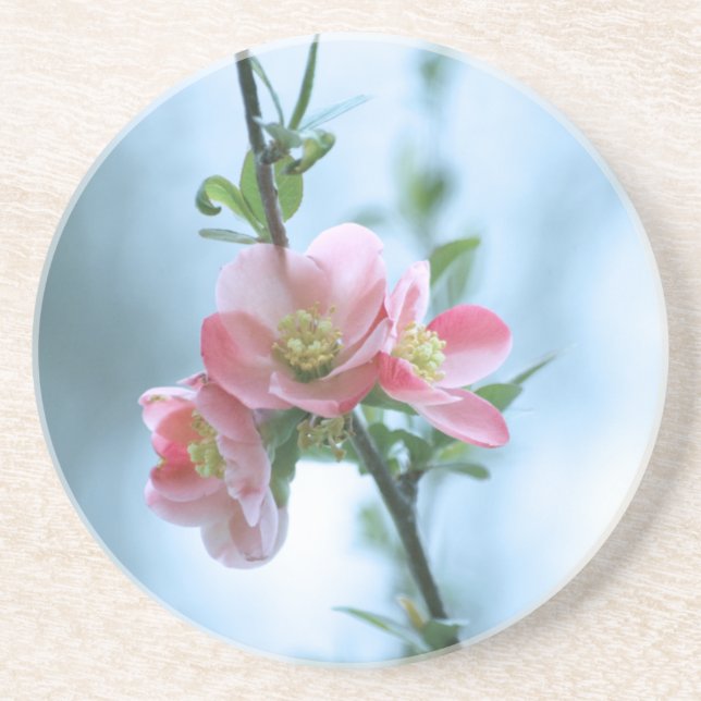 Dessous de verre Apple Blossom #P0365 (Devant)