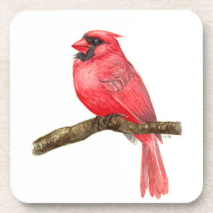 Dessous-de-verre Aquarelle cardinale