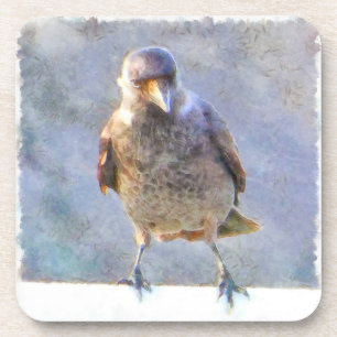 Dessous-de-verre Aquarelle Jackdaw