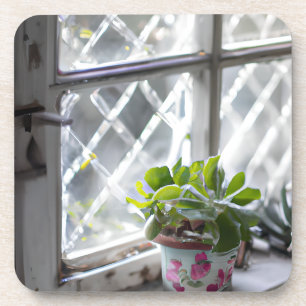 Dessous-de-verre Aquarelle Joli Plante dans la fenêtre