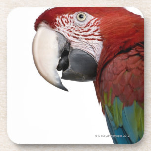 Dessous-de-verre ara Rouge-et-vert - chloropterus d'arums