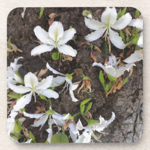 Dessous-de-verre Arbre