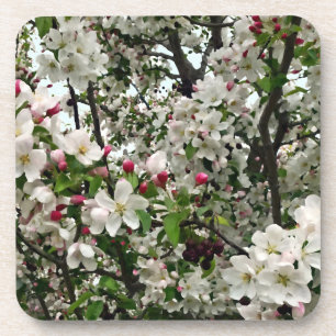 Dessous-de-verre Arbre Apple en fleurs