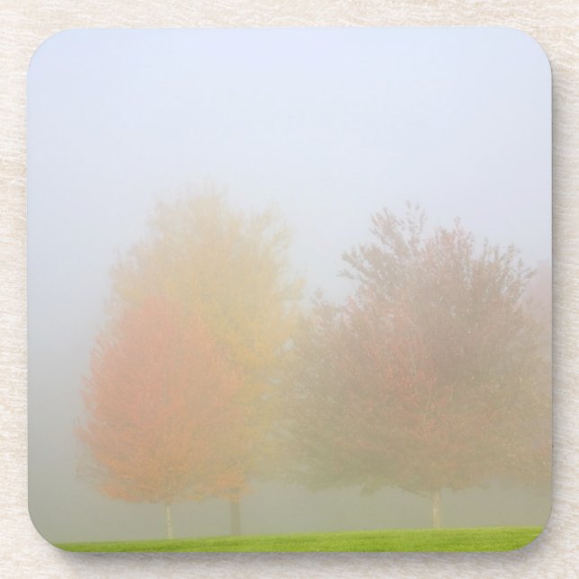 Dessous-de-verre Arbres de chute enveloppés en brume (Devant)