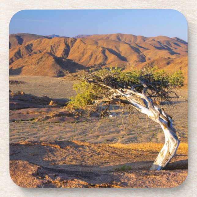 Dessous-de-verre Arbres Et Terres Désertiques, Richtersveld (Devant)