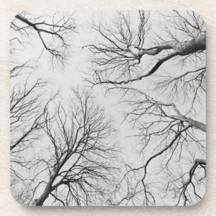 Dessous-de-verre Arbres sans feuilles en bois de Thiepval