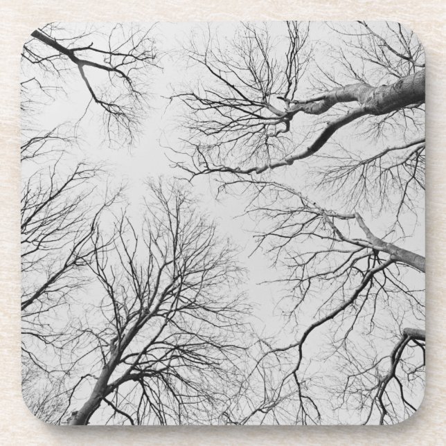 Dessous-de-verre Arbres sans feuilles en bois de Thiepval (Devant)