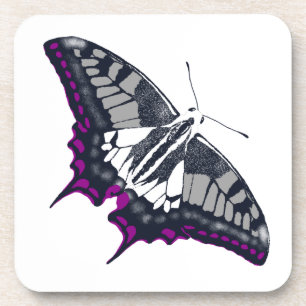 Dessous-de-verre Asexual Flag Swallowtail