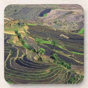 Dessous-de-verre Asie, Chine, Yunnan, Honghe. Rizières près de