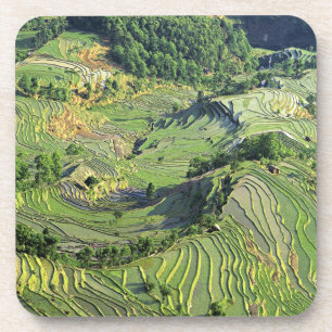 Dessous-de-verre Asie, Chine, Yunnan, Yuanyang. Motif de vert