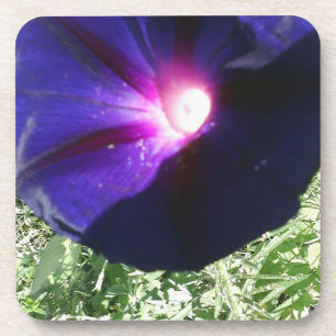 Dessous-de-verre Assez floral