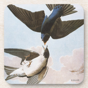 Dessous-de-verre Audubon : Hirondelle d'arbre