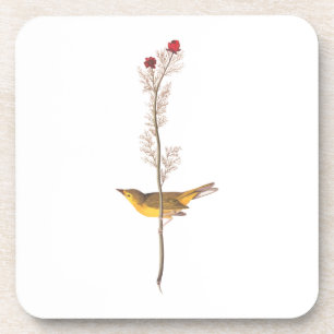 Dessous-de-verre Audubon's Hooded Warbler Bird on Red Flower