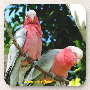 Dessous-de-verre Australien Galah - cacatoès rose