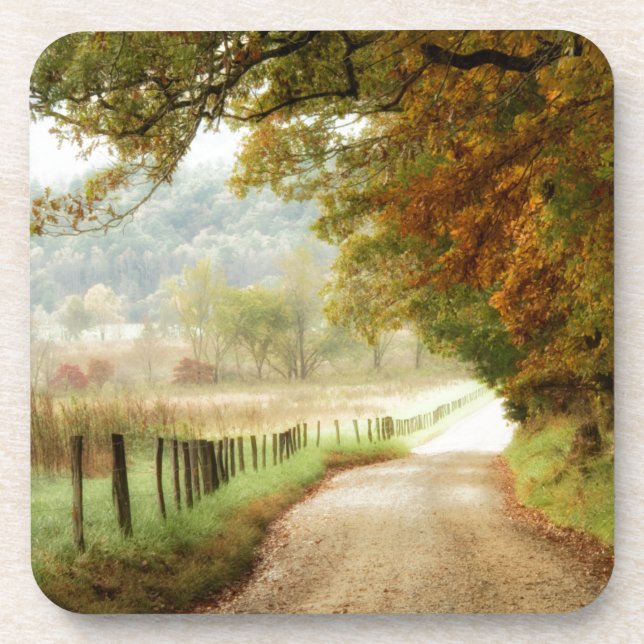 Dessous-de-verre Automne sur une route de campagne (Devant)
