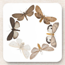Dessous de verre avec l'anneau de papillon