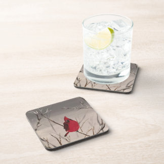 Dessous de verre avec les cardinaux