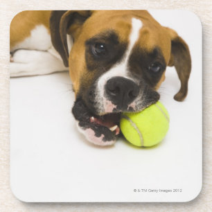 Dessous-de-verre Balle de tennis acérée de chien