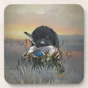 Dessous-de-verre Barbet, Chien d'eau français