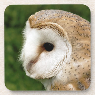 DESSOUS-DE-VERRE BARN OWL