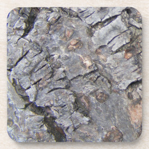 Dessous-de-verre Barre d'arbre