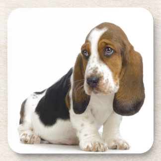 Dessous-de-verre Basset Hound