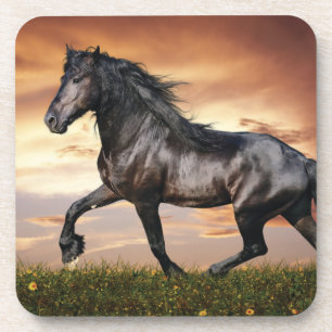 Dessous-de-verre Beau Cheval Noir