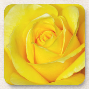 Dessous-de-verre Beau pétales de rose jaune