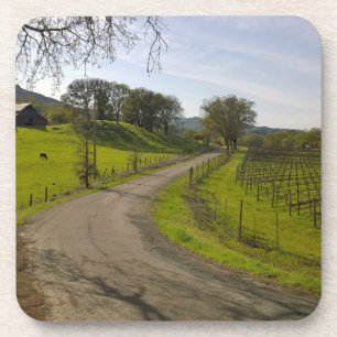 Dessous-de-verre Beau vignoble en Napa Valley California