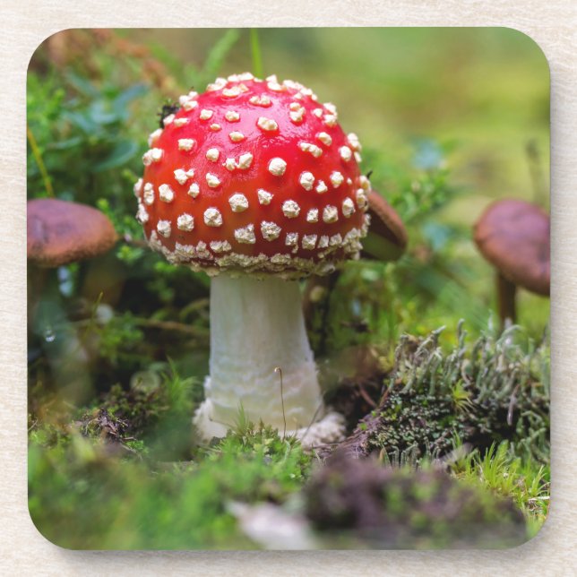 Dessous-de-verre Beauté d'automne (Devant)