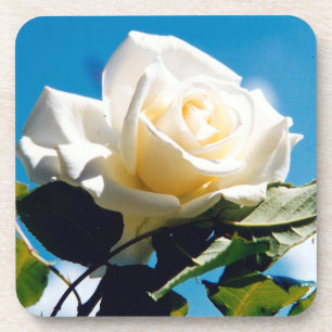 Dessous-de-verre Beauté de Rose blanche