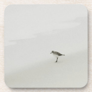 Dessous-de-verre Bécasseau côtier sur la plage