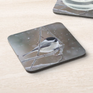 Dessous-de-verre Bécasseau noir - Songbird