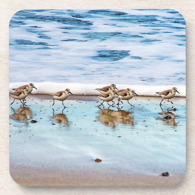 Dessous-de-verre Bécasseaux fonctionnant le long de la plage (Devant)