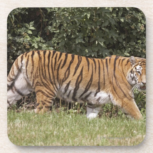 Dessous-de-verre Bedfordshire, Angleterre 2 (Devant)