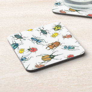 Dessous-de-verre Beetles