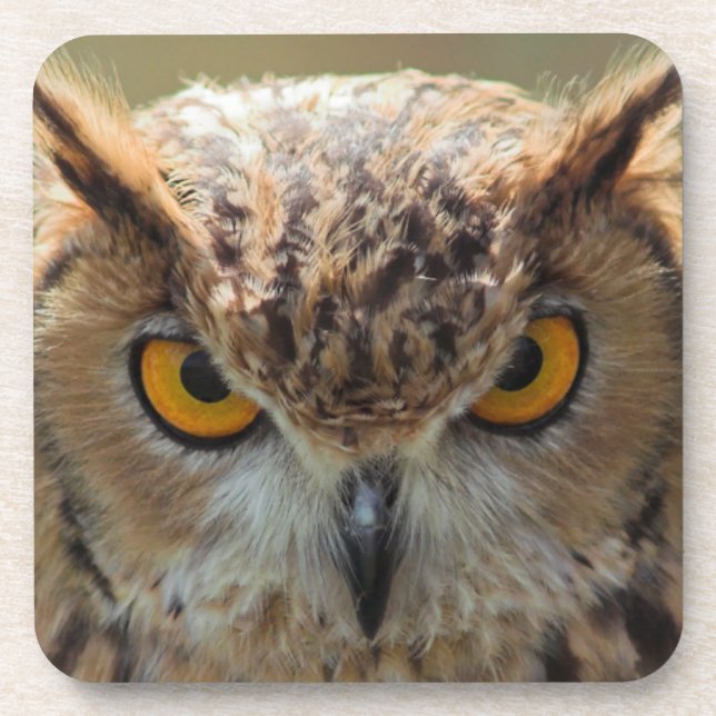 Dessous-de-verre Belle Chouette (Devant)